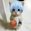 fercita_lafresita