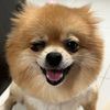 pic23549