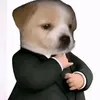 vqpht