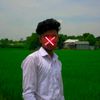 nibir.100