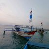d_rahayu3