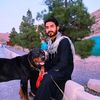 awal_ali665439