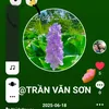 .tranvanson1