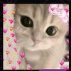 kyyx_14