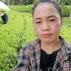 hue.trathainguyen