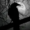 mahamad_6996