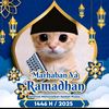 aslan.anak.soleh