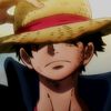 luffy1861