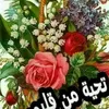 raid.alwandy
