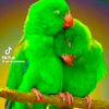 user7454034658129