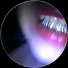 marianamihaila71