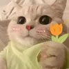 bbiqncutiwaa