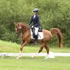 kaat.langen