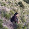 piansyah22_