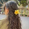 luly.720
