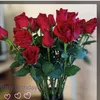 nhi.pham290