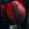 user7485921842245