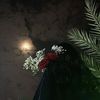 shshy253
