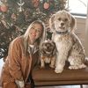 cozyshel