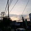 aliiaa209