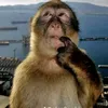 baodepzao