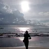 alyrmdn1