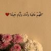 saed.abusrhan