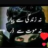 wafadar.halak.402