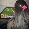 letlle_1