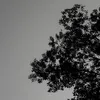 ka1t0_0