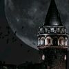 sessiz_biri0.0.0