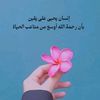 user1106296630261