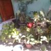 user8129557324874