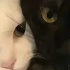 as_nat.1