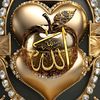 user869088847543