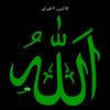 user158451330639