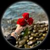 mmfatima91