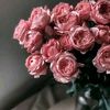 haneen.haneen768