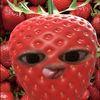 renathaisabellatl