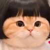 kittym9540