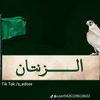 user80705612039173