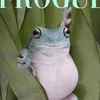 justfroglife