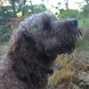 dan_0895