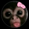 user5478137481800