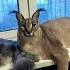 floppaminecraft19