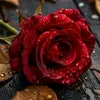 learnenglish623
