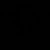 mag_h11
