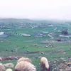 maulan00oo