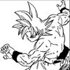 goku_sfz