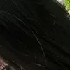 viola.ne.sad